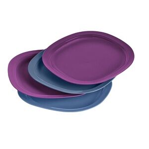 Tupperware Microwave Reheatable Lunch Plates NWT 4